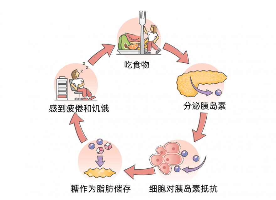 什么是血糖？附空腹/餐后/糖化控制目標